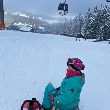 Chalet Panoramagemach Naehe Stuhleck, Semmering, Schneeberg Und Rax *