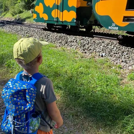 Chalet Skigebiete Stuhleck Und Semmering,wandergebiete Schneeberg Und Rax Neunkirchen