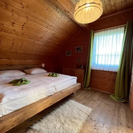 Skigebiete Stuhleck Und Semmering,wandergebiete Schneeberg Und Rax * 诺因基兴