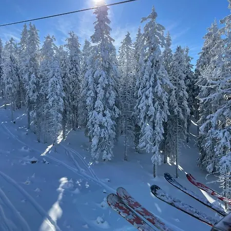 Skigebiete Stuhleck Und Semmering,wandergebiete Schneeberg Und Rax