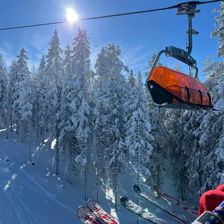 Chalet Skigebiete Stuhleck Und Semmering,wandergebiete Schneeberg Und Rax Neunkirchen