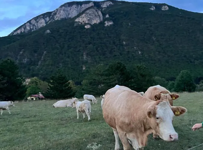 Chalet Skigebiete Stuhleck Und Semmering,wandergebiete Schneeberg Und Rax Neunkirchen