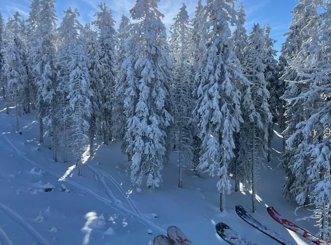 Skigebiete Stuhleck Und Semmering,wandergebiete Schneeberg Und Rax