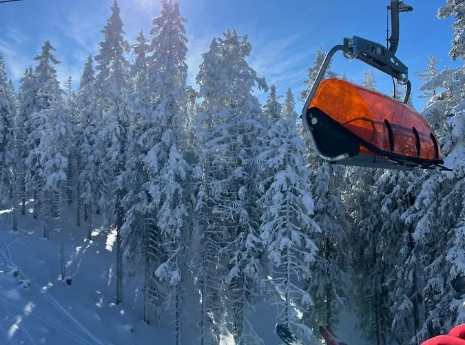 Chalet Skigebiete Stuhleck Und Semmering,wandergebiete Schneeberg Und Rax Neunkirchen