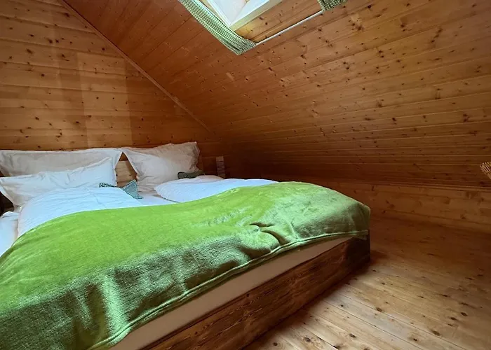 Skigebiete Stuhleck Und Semmering,wandergebiete Schneeberg Und Rax Chalet Neunkirchen