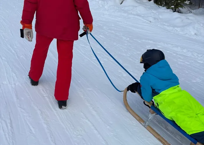Skigebiete Stuhleck Und Semmering,wandergebiete Schneeberg Und Rax *